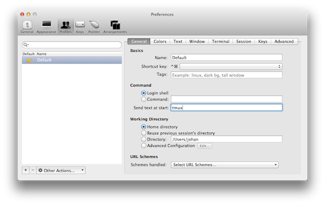 Capture des préférences d’iTerm2 pour démarrer tmux automatiquement