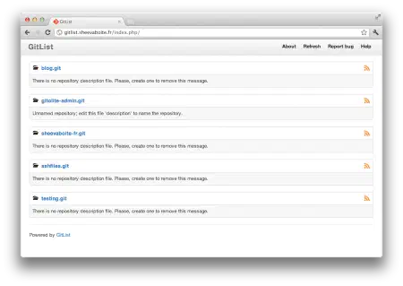 Capture de la home de GitList