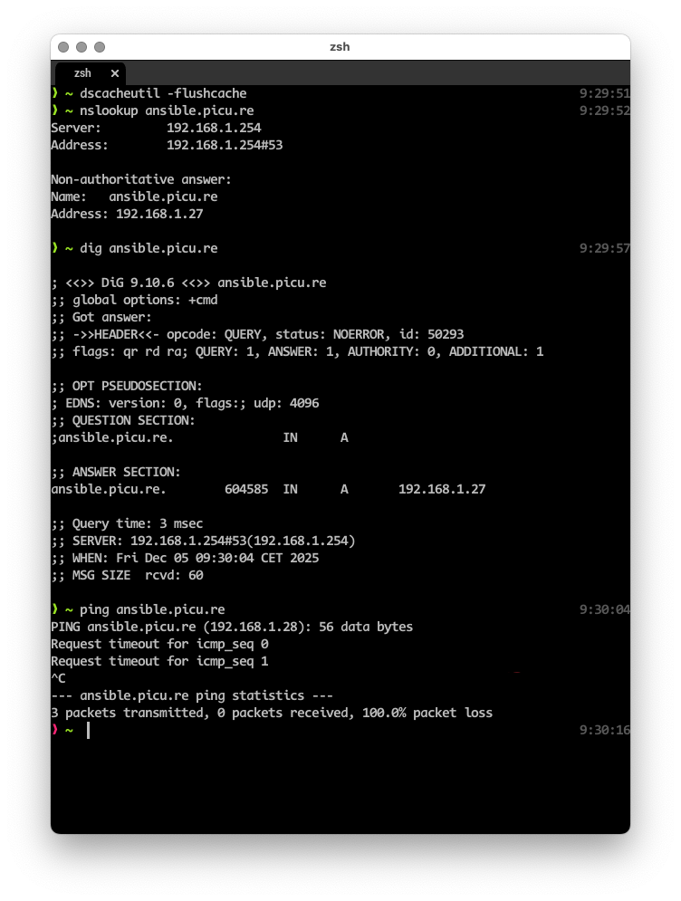 Capture d’une fenêtre de terminal où j’essaye de vider le cache DNS