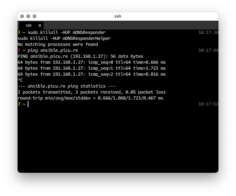 Capture d’une fenêtre de terminal avec ping utilisant la bonne IP